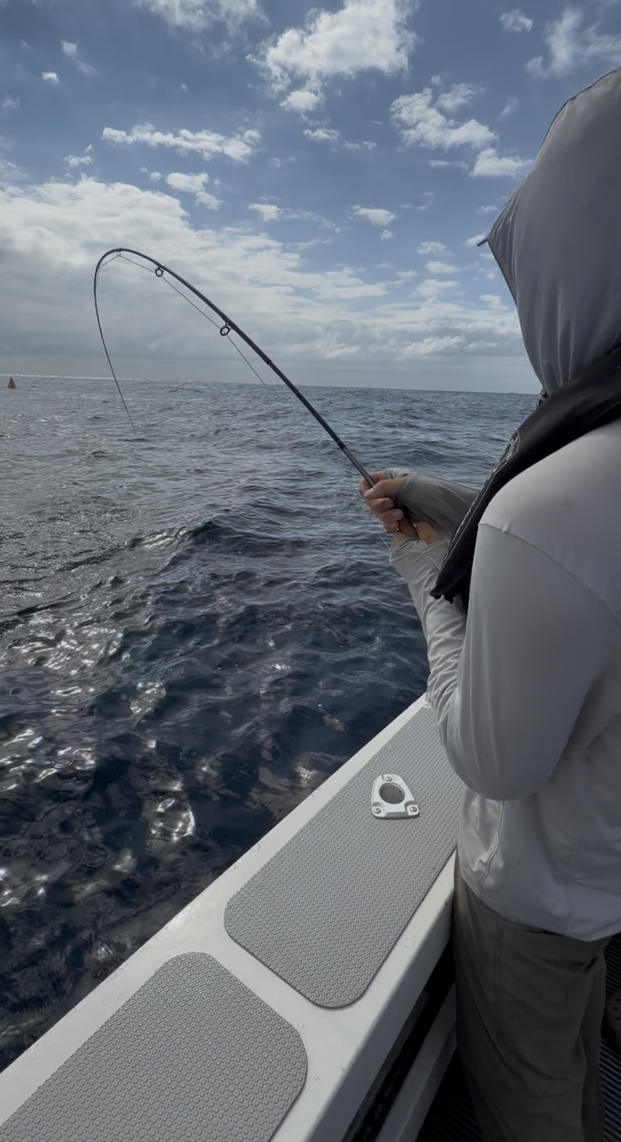 One of the dozens of Mahi captured